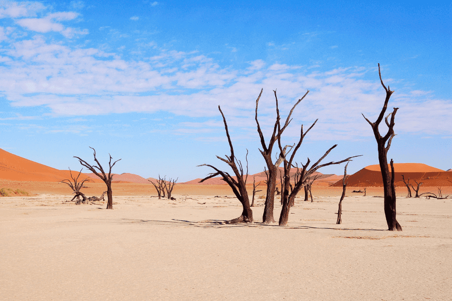 Sossusvlei et canyon de Sesriem dans le désert du Namib
