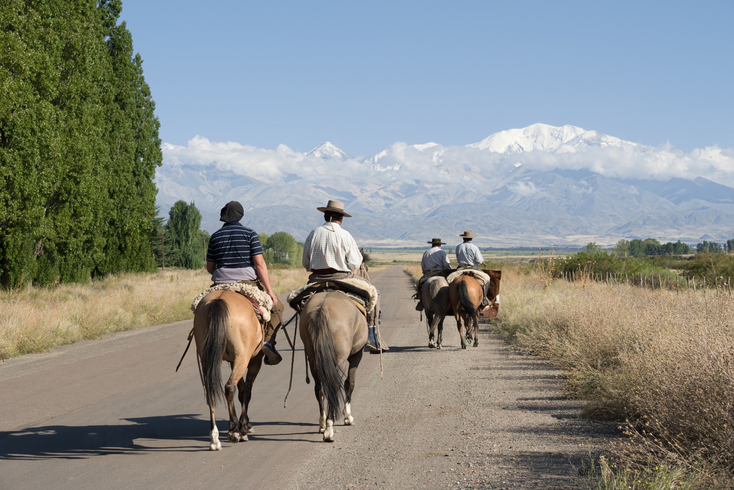 Jour 6