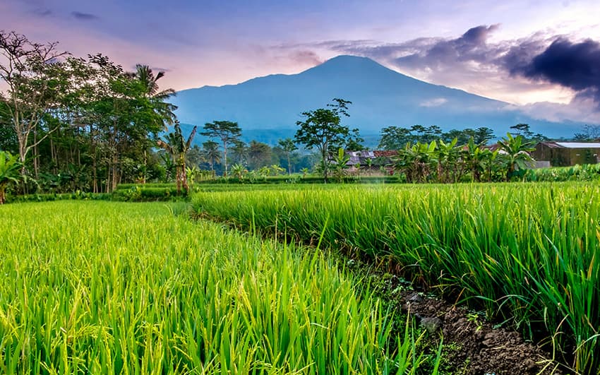 Baturaden