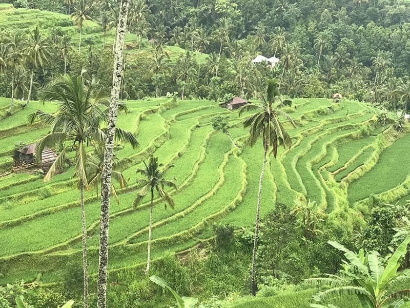 Munduk
