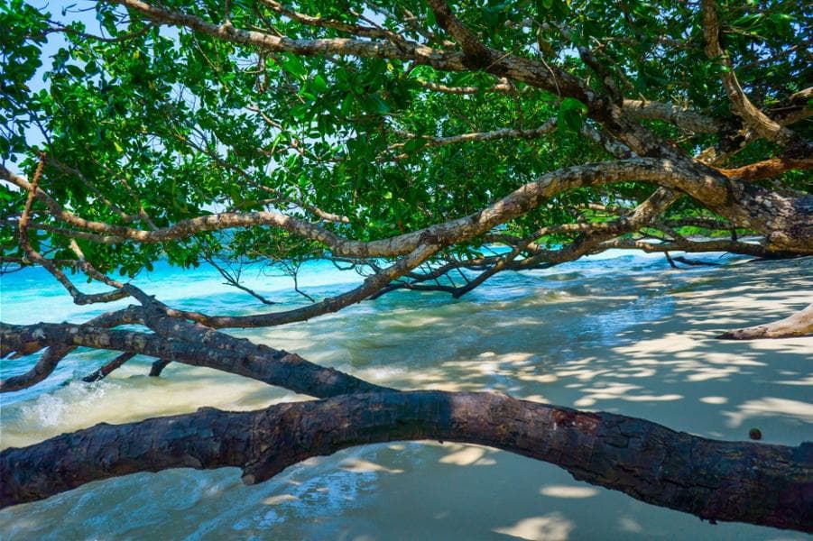 Ujung Kulon NP
