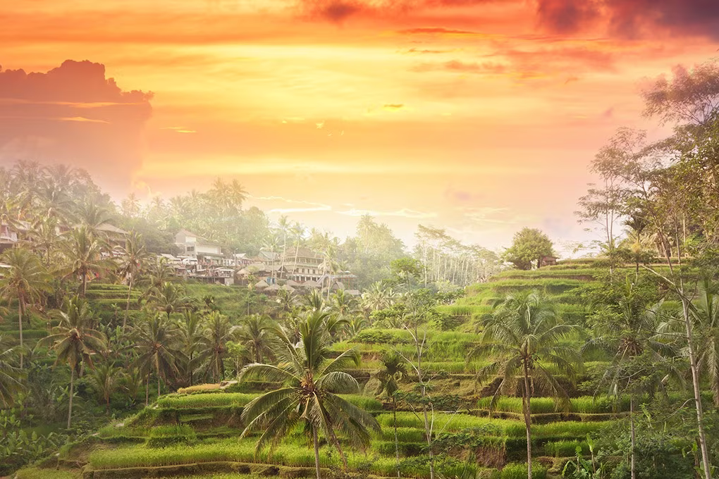 Au cœur de Bali - 7 jours
