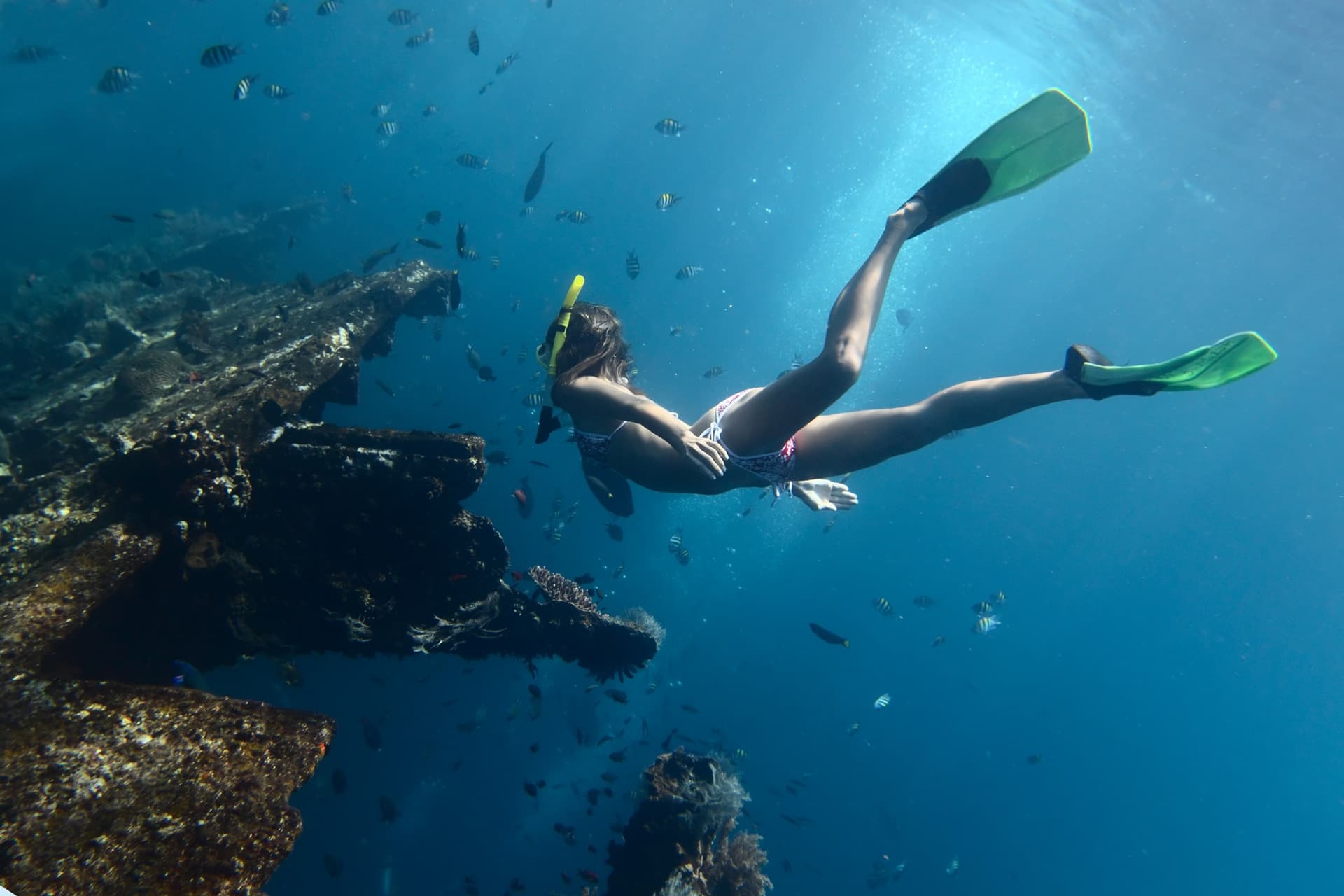 Plongée & Snorkeling à Tulamben / Amed
