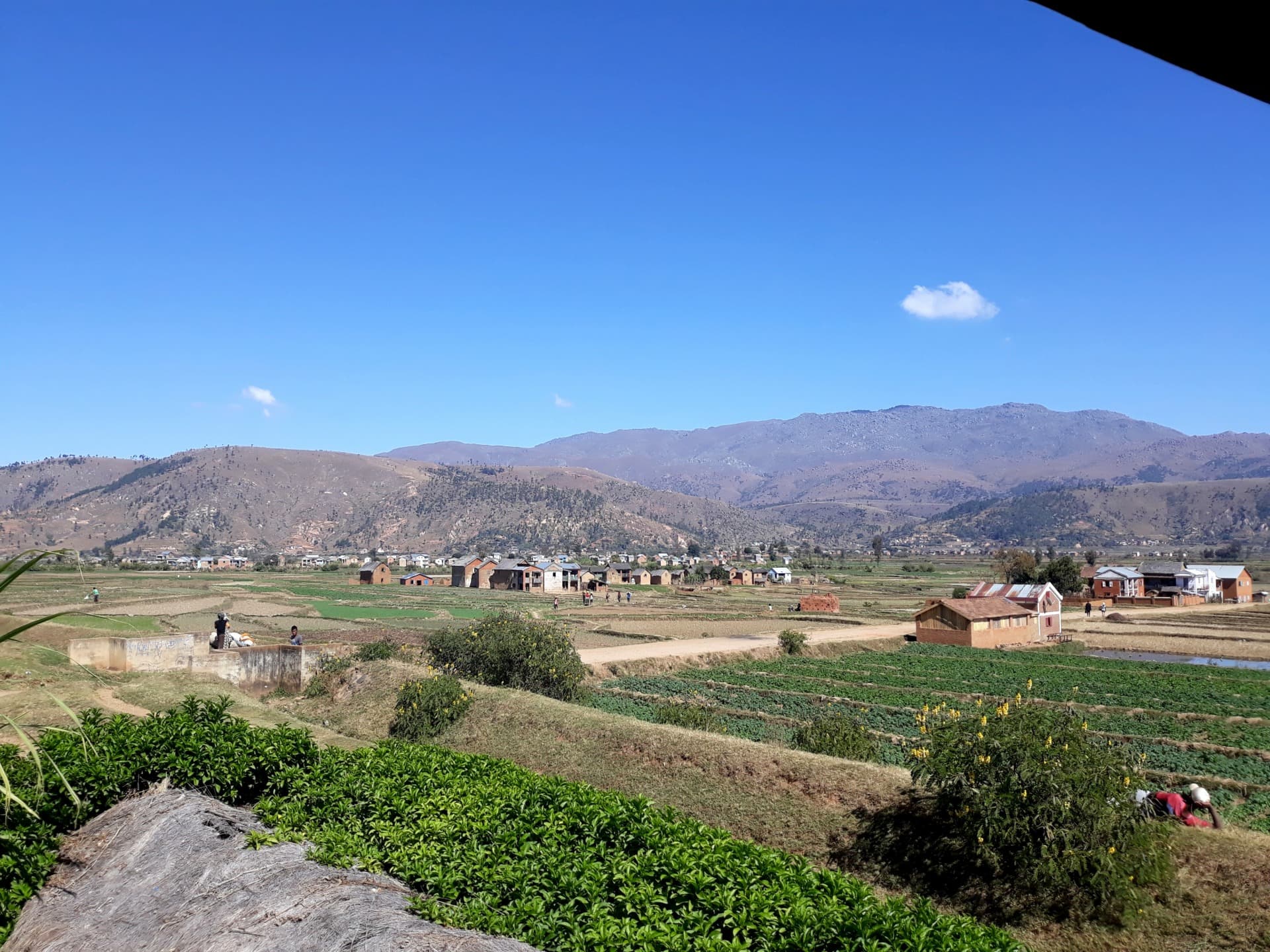Manandona