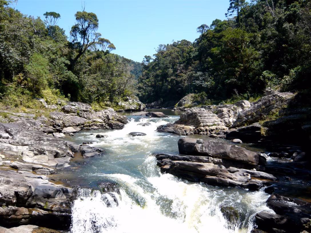Au coeur du pays Zafimaniry