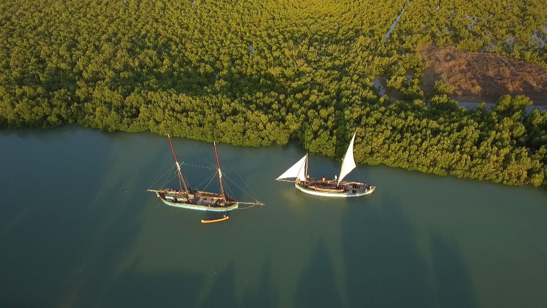 Croisière migratoire de Morondava à Majunga