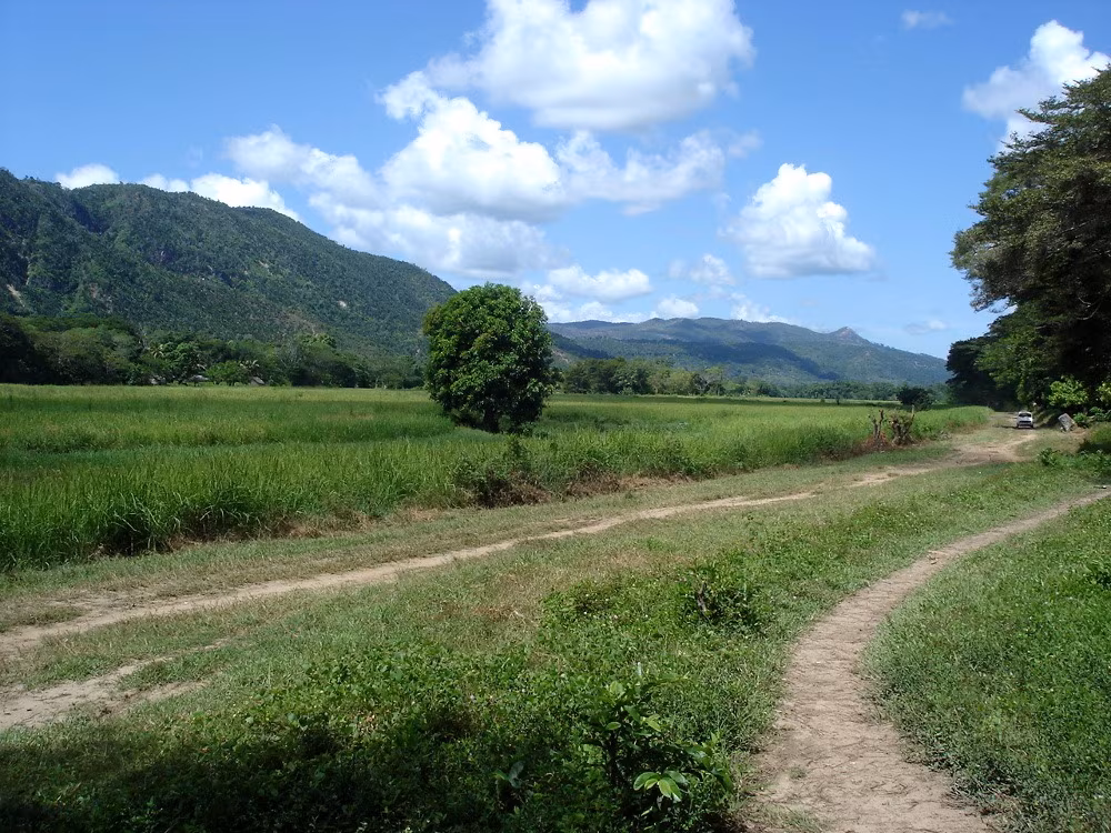 Découverte du Nord-Ouest et immersion à Sambirano
