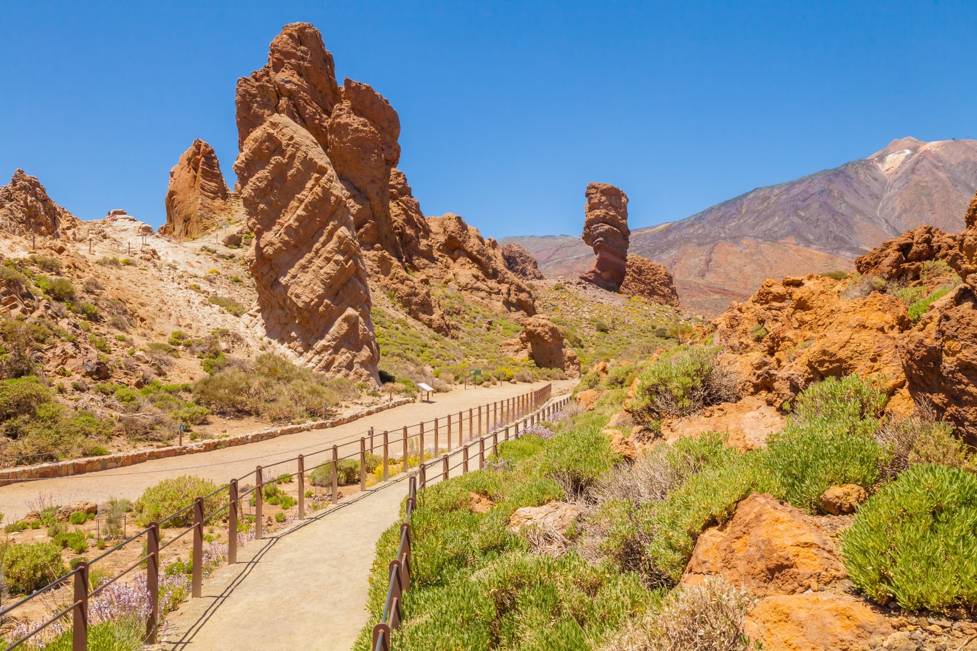 Parc National Teide