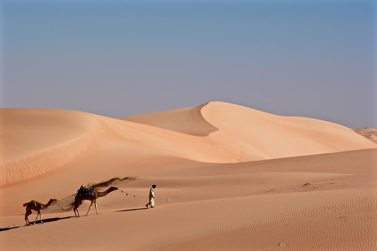 L'Erg Warane et Chinguetti, variations dans les sables