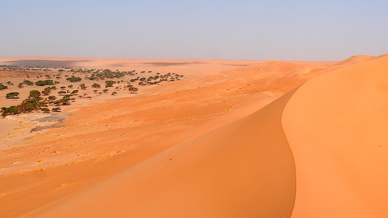 Randonnée hauturière en Mauritanie : L'erg Maghteir et les mystères de l'Adrar - Voyage d'Auteur par Sylvain PHILIP
