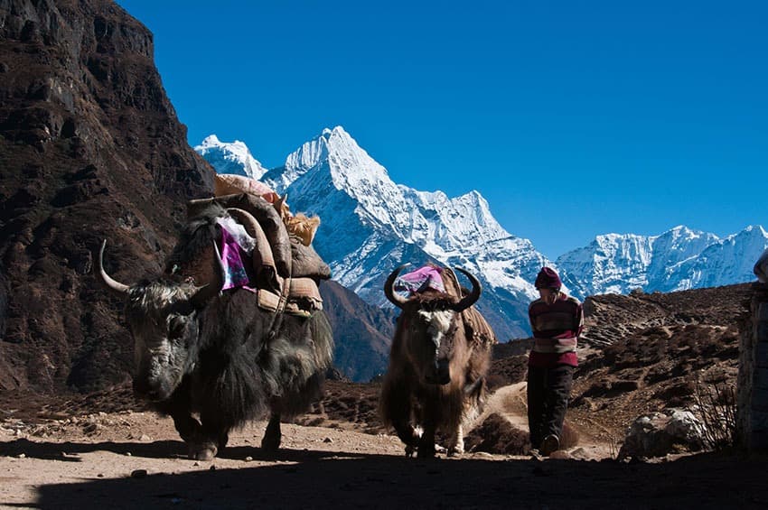 Namche Bazaar : la capitale des Sherpas