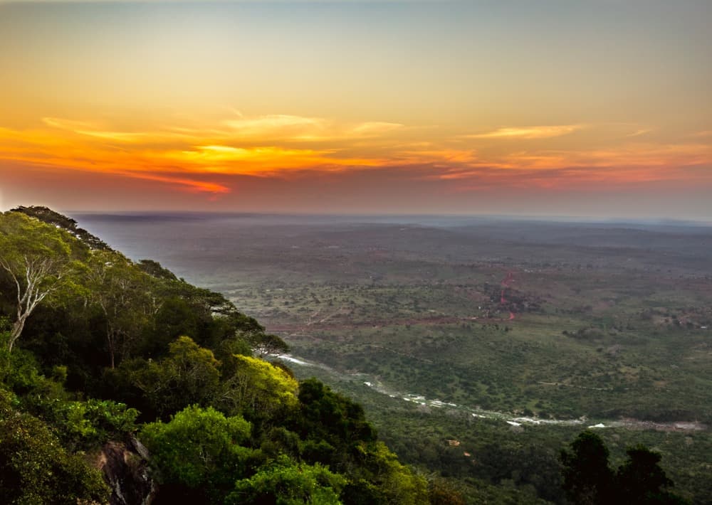 Shimba Hills