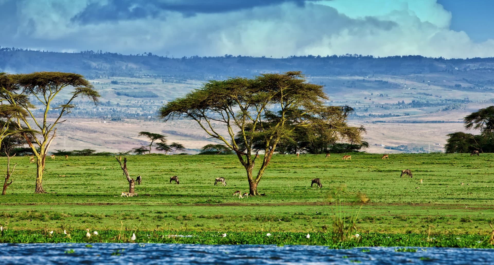 Lac Naivasha