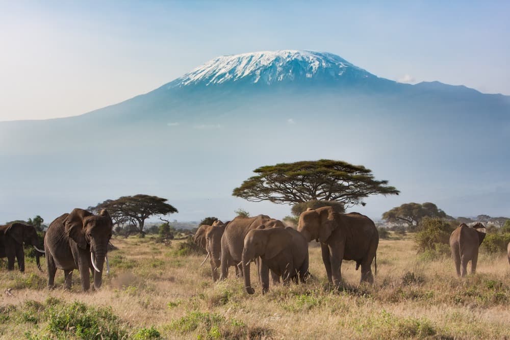 Parc National Amboseli