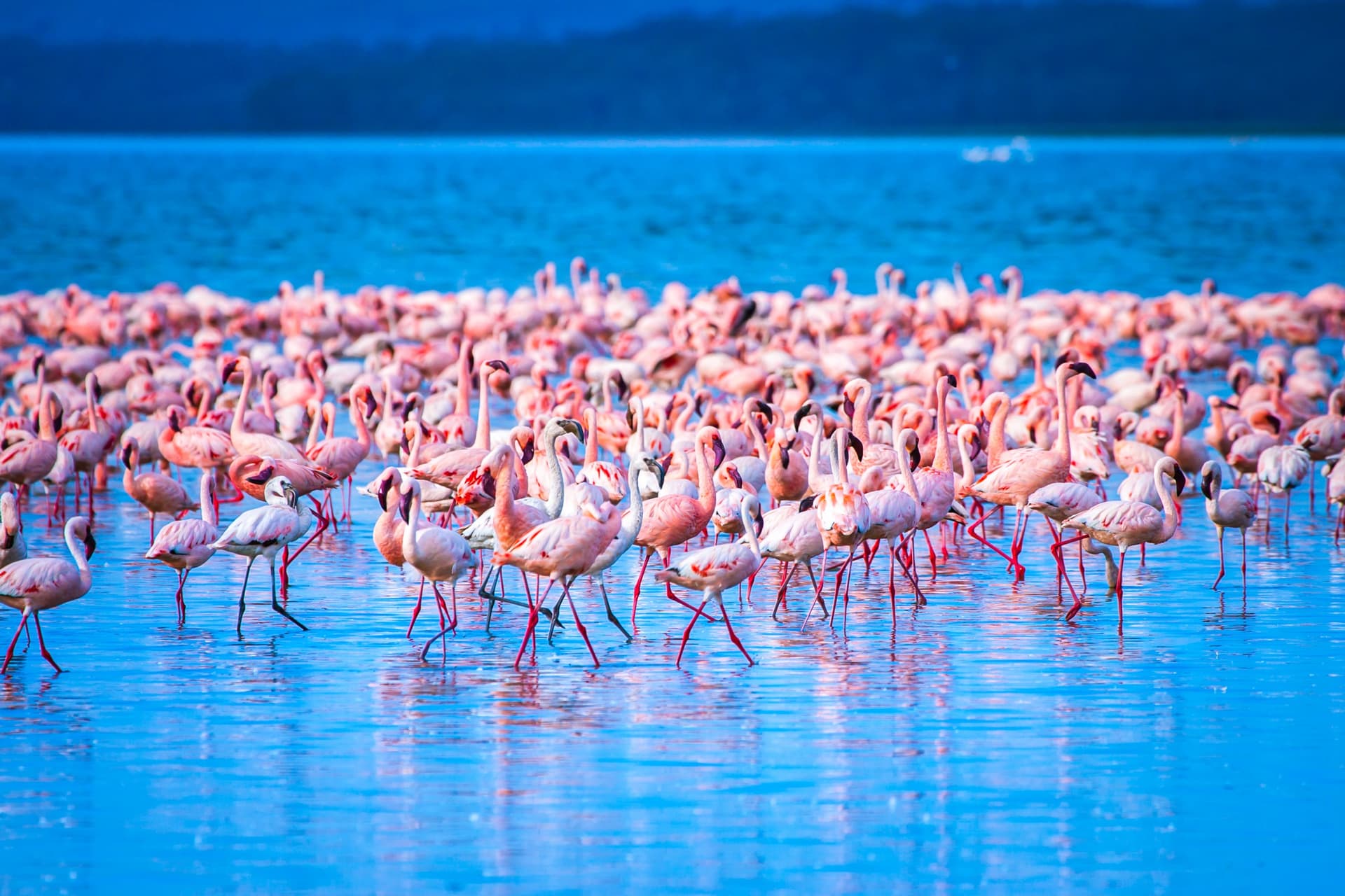 Nakuru
