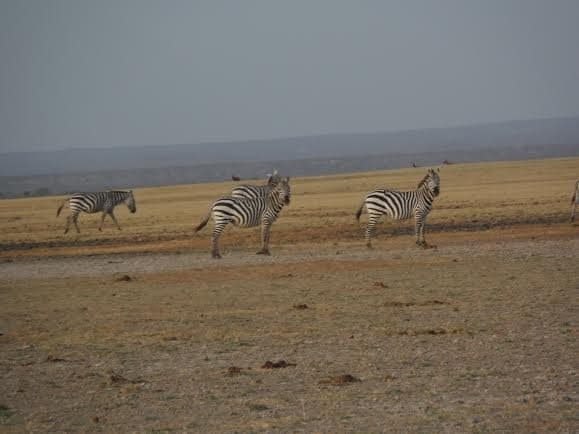 Parc national de Sibiloi