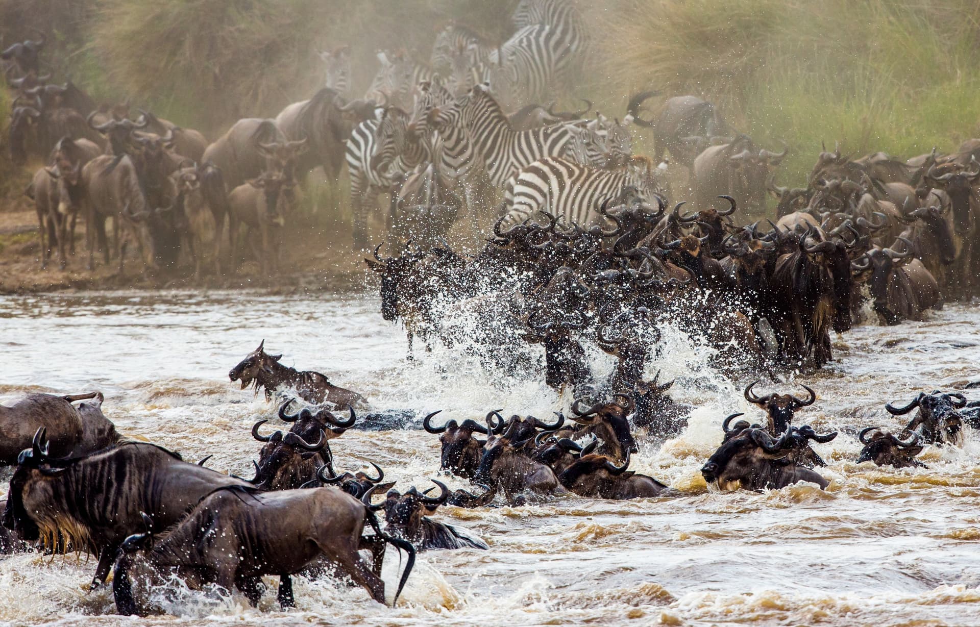 Maasai Mara