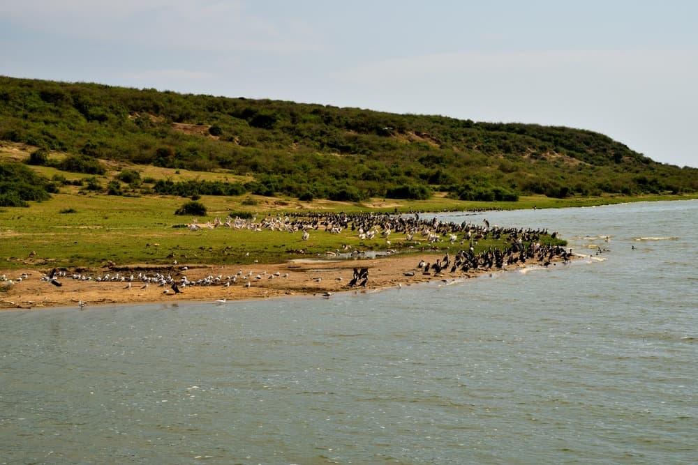 Parc National de Queen Elizabeth