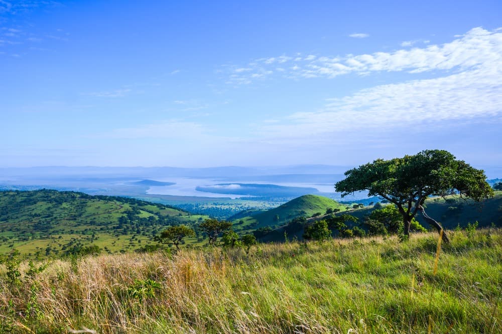 Parc national de l'Akagera