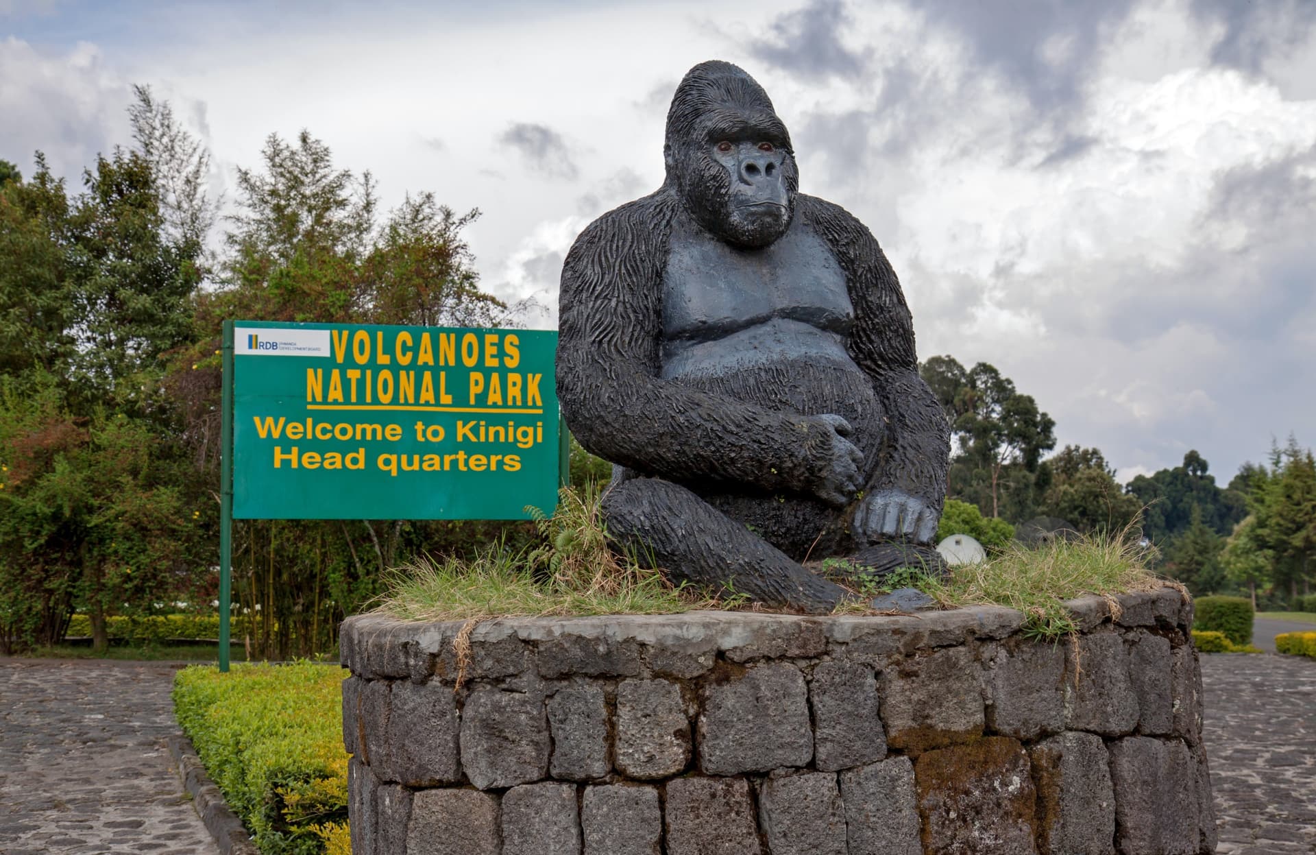 Parc National des Volcans