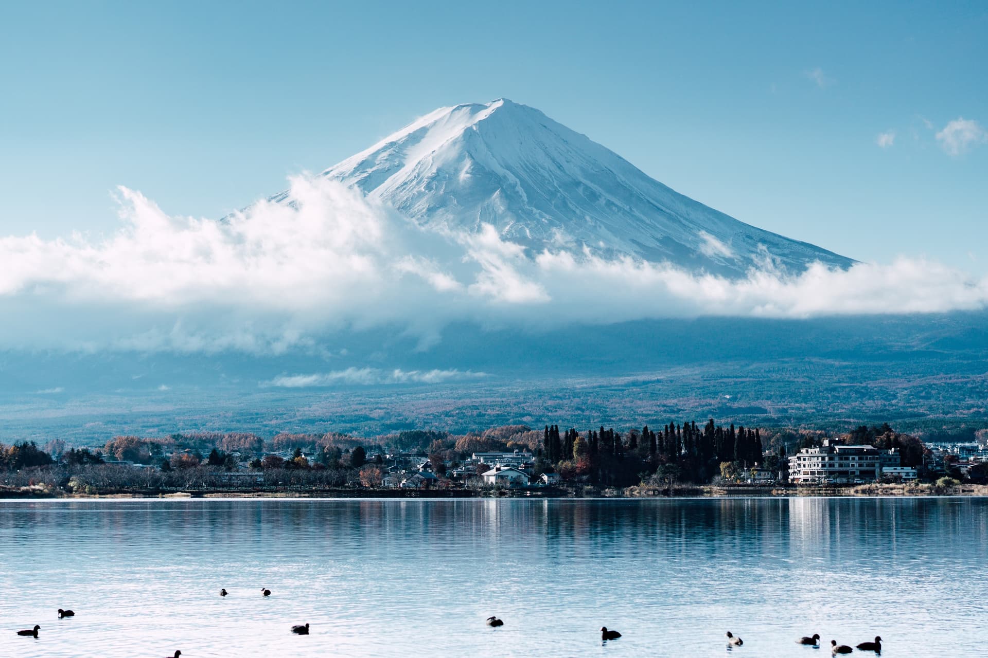 Sur les rives du lac Kawaguchiko, le Mt Fuji nous contemple