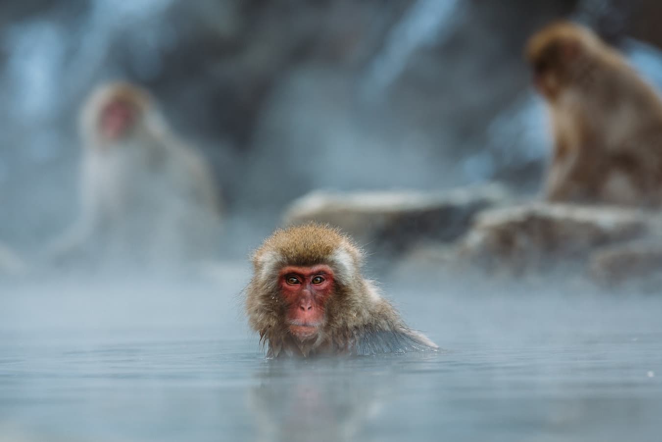 Obuse et Shibu Onsen, art et stations thermales