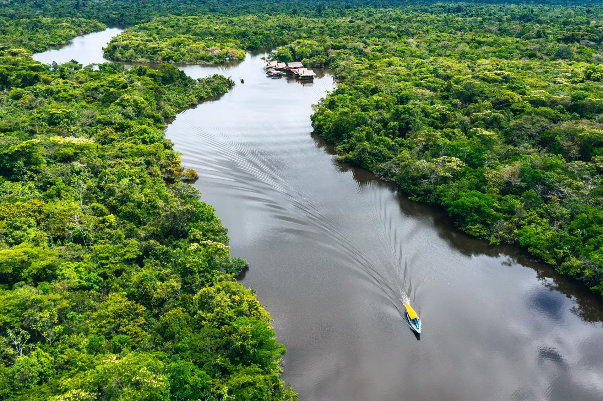 Croisière en Amazonie