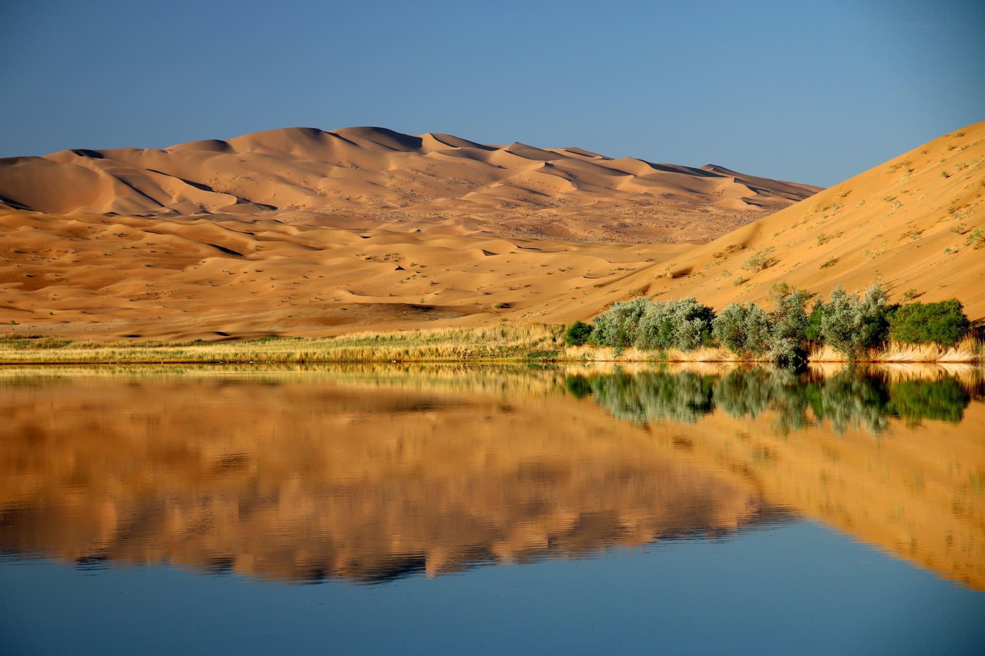 Désert de Gobi