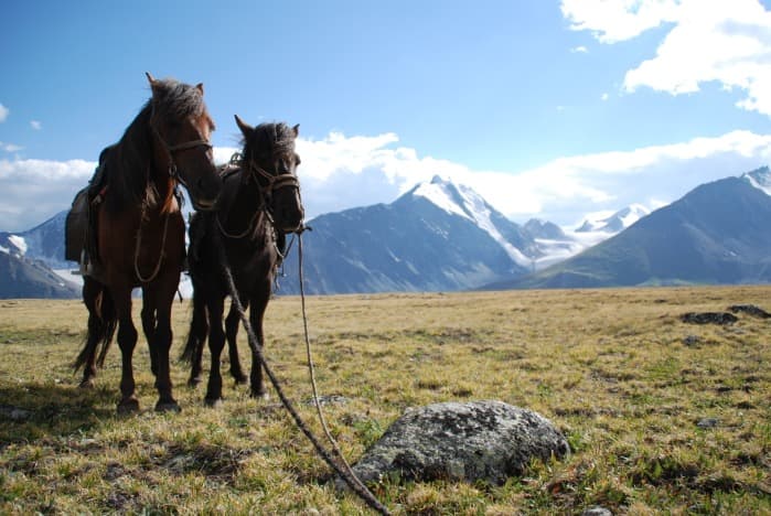 Chevauchée Altai
