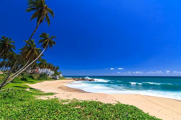 Les secrets bien gardés du Sri Lanka