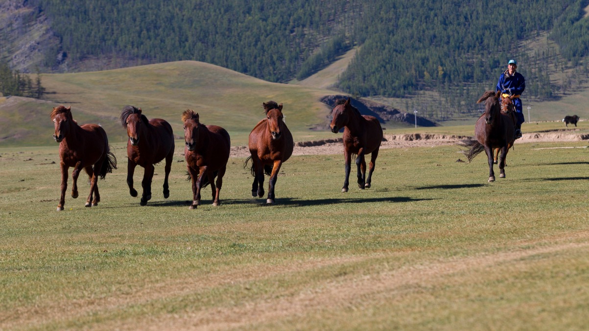 Image Trek et cheval