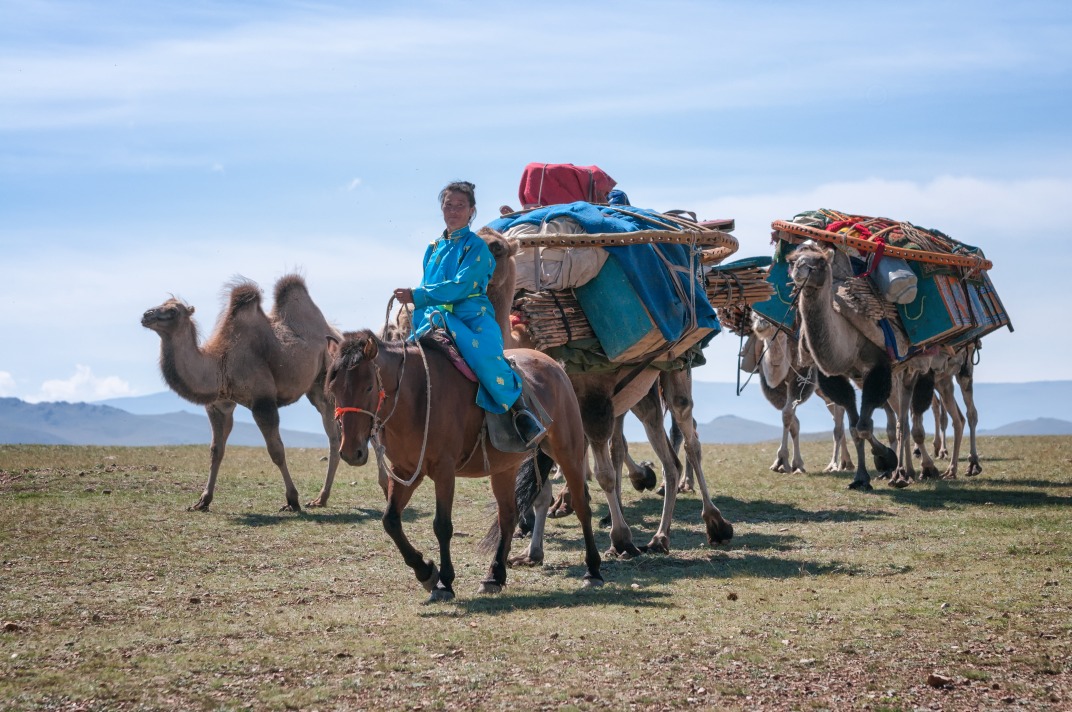 Image Transhumance nomade